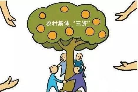 農(nóng)村三資財務記賬軟件